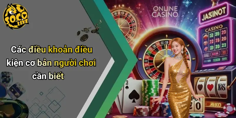 Điều Khoản Điều Kiện 2 Điều Khoản Điều Kiện