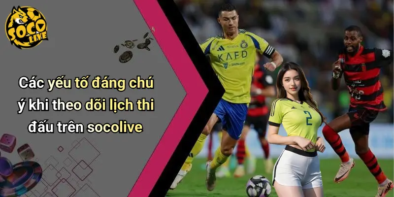 Lịch thi đấu 31 Lịch Thi Đấu