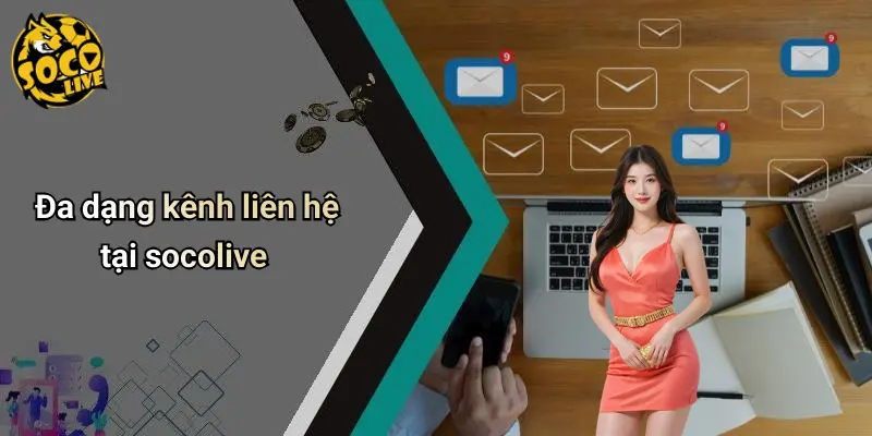 Liên Hệ 2 Liên Hệ