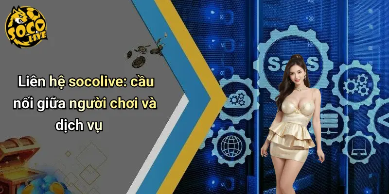 Liên Hệ 1 Liên Hệ