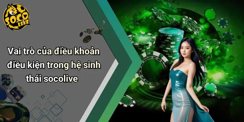 Điều Khoản Điều Kiện 1 Điều Khoản Điều Kiện